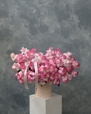 Flexed Rose Bloombox